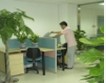 企業(yè)搬家
